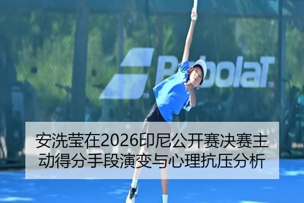 an-xi-ying-zai-yin-ni-gong-kai-sai-jue-sai-zhu-dong-de-fen-shou-duan-yan-bian-yu-xin-li-kang-ya-fen-xi-2-691.jpg